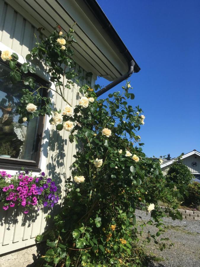 Airbnbekasberg Olofstorp Kültér fotó