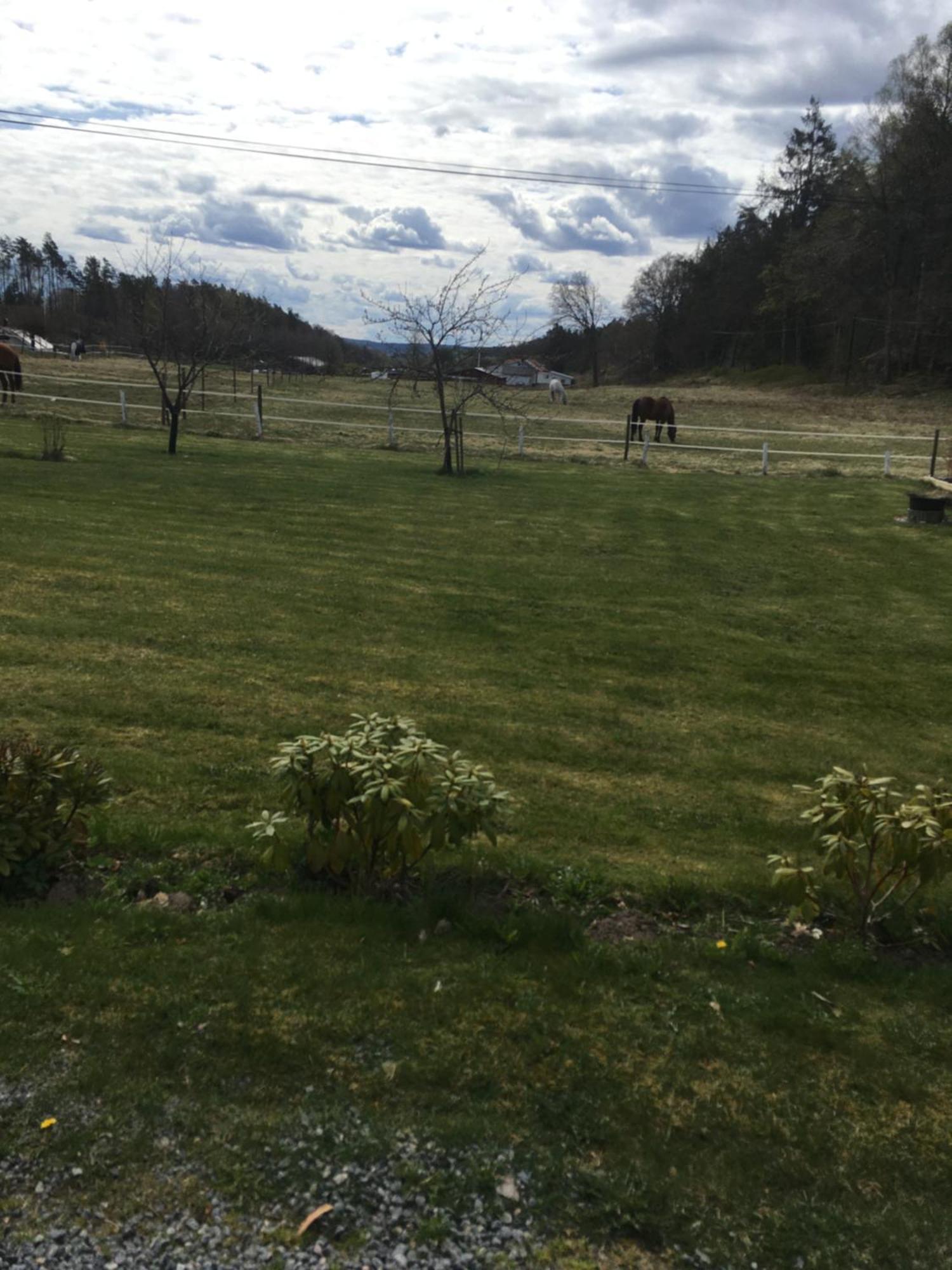 Airbnbekasberg Olofstorp Kültér fotó