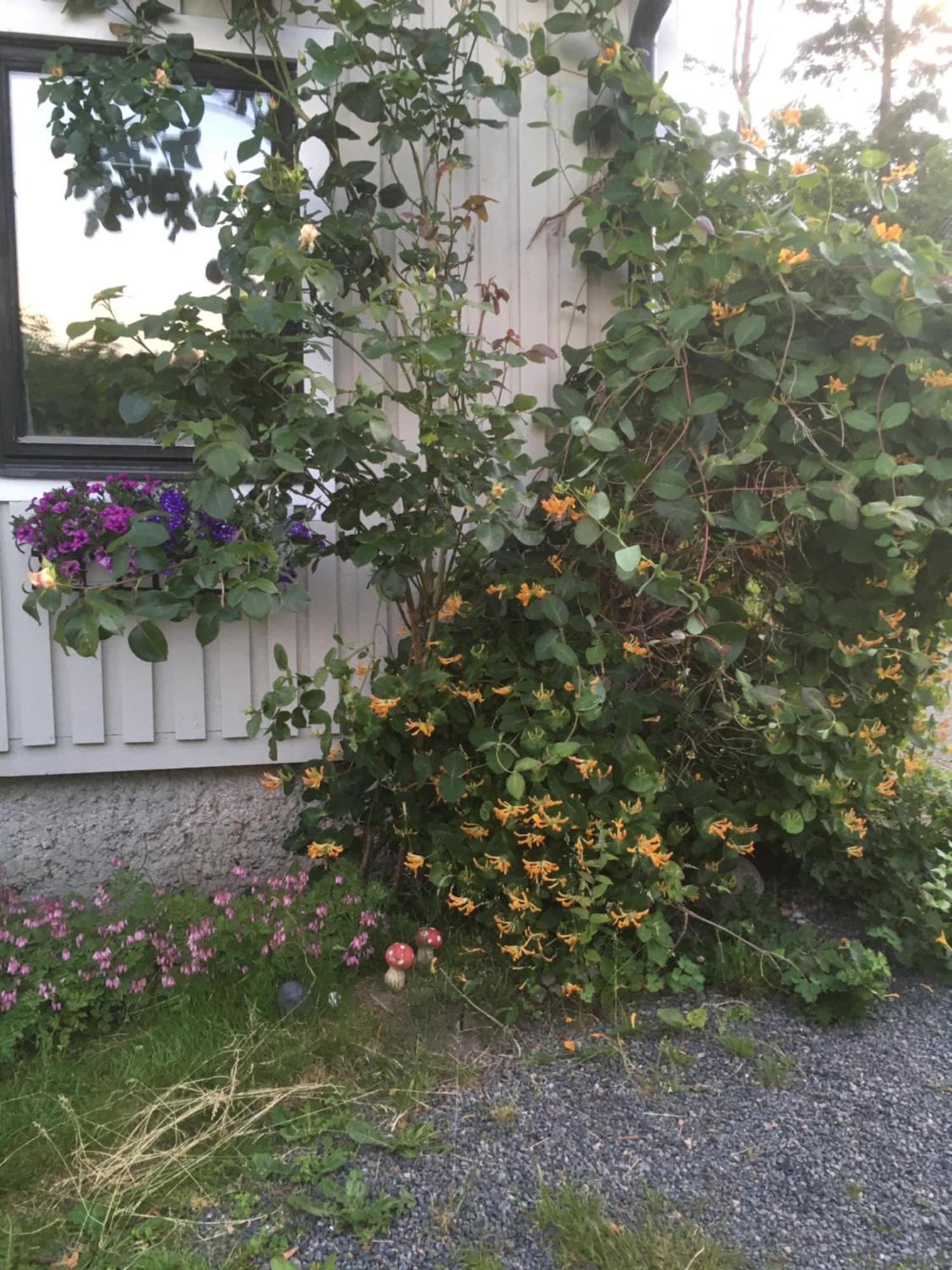 Airbnbekasberg Olofstorp Kültér fotó