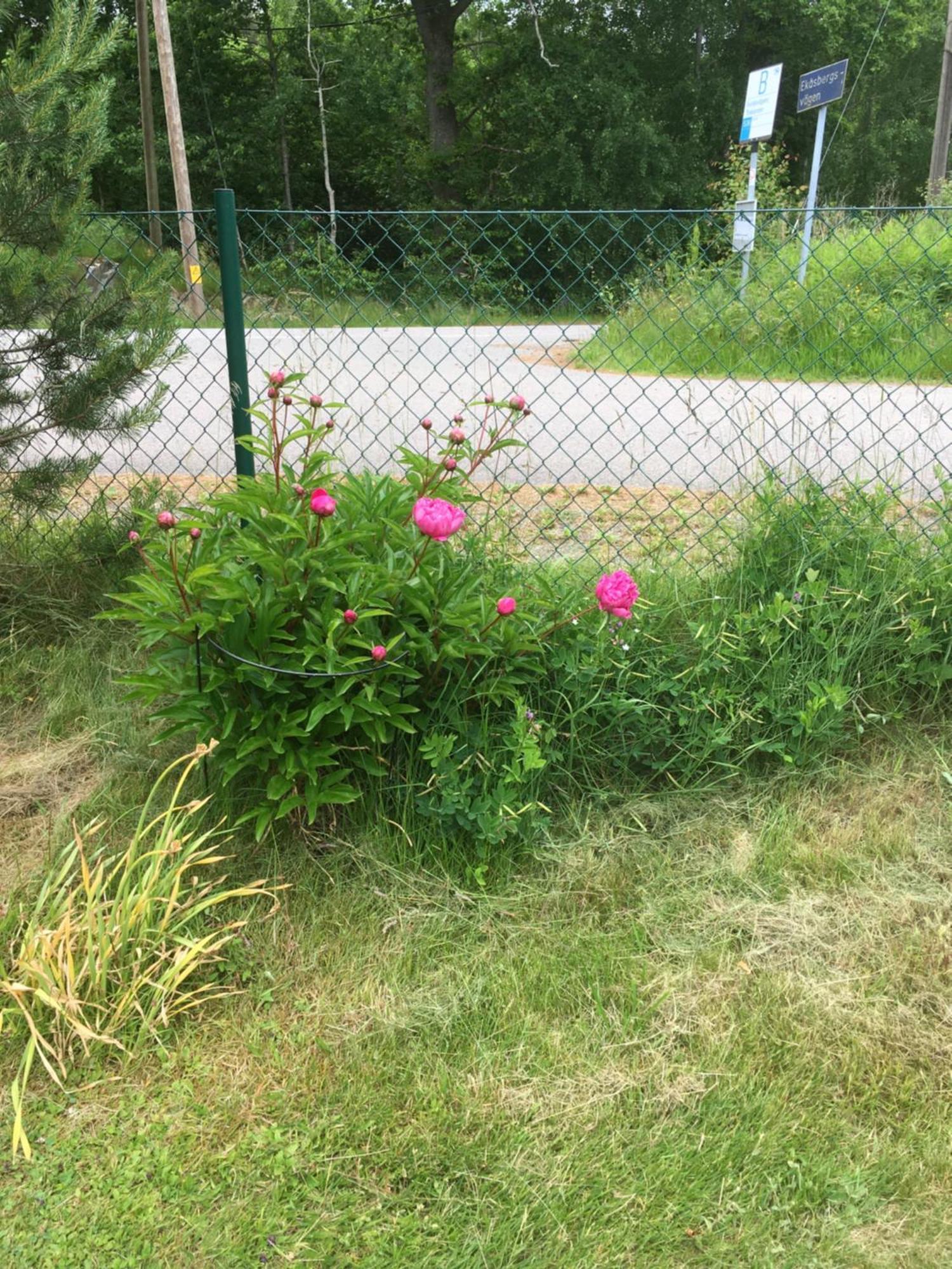 Airbnbekasberg Olofstorp Kültér fotó