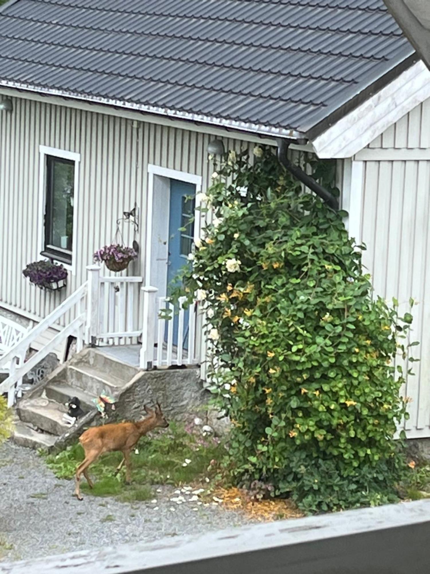 Airbnbekasberg Olofstorp Kültér fotó